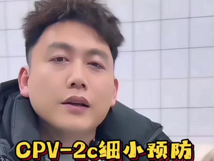 CPV-2c细小来袭!这4点一定要记牢#宠物 #宠物知识 #养狗经验分享
