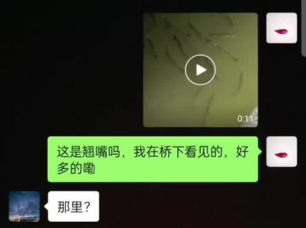 隔着屏幕已经把他钓成翘嘴了都😅#钓鱼人