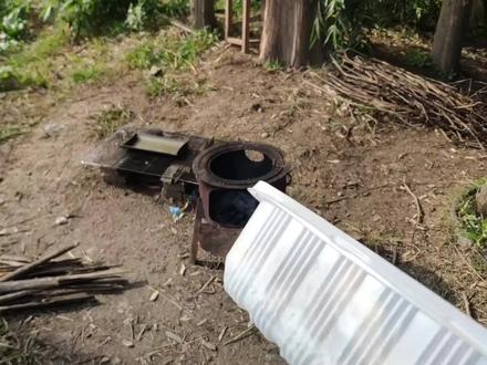 冷冻了77天琵琶虾,准备做个红烧皮皮虾,老表都爱吃果然还新鲜 #皮皮虾 #红烧虾 #海鲜 #我要上热门