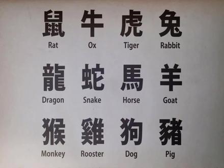 十二生肖两两相对应,充份体现了古人的智慧 #视频素材 #神奇动物 #人与自然