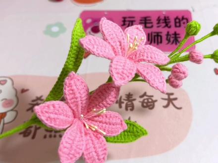 火星兰钩针视频教程二#钩织教程