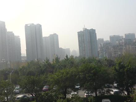 超小厨买2瓶啤酒一只鸭,魔芋啤酒配老鸭,啃完鸭肉笑哈哈