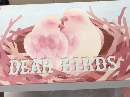 泡泡玛特毛绒Dear Birds超详细手感来啦! 泡泡玛特毛绒Dear Birds亲爱的小鸟超详细手感来啦!#泡泡玛特 #DearBirds #星星人 #大人也要玩玩具 #盲盒