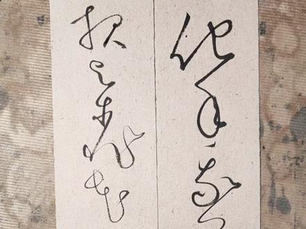 这BGM如何?#草书#书法#瘦金体