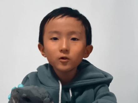 霸王龙🦖升级版#霸王龙 #大同 #男孩玩具 #原创视频