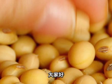 农作物科普知识三:黄豆的一生