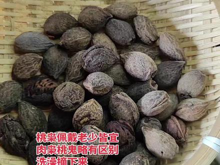 咨询桃枭的可以相互学习,不懂桃枭的请勿评论。