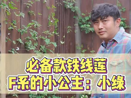 留言给我你们想了解的铁线莲品质,挨个讲 小绿的照片特别感谢花友@狗子猪