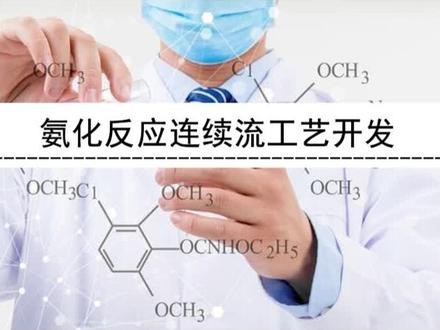 #实验室 #化工 氨化反应连续流工艺开发项目案例
