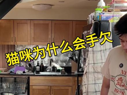 猫为什么总爱打翻桌子上的东西?#猫咪的迷惑行为 #猫咪日常 #猫打翻 #趣味科普