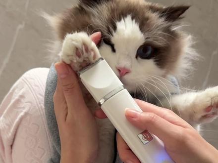 撸猫有一套 再也不怕叛逆小猫了😏
#萌宠 #萌宠出道计划 #布偶猫 #猫咪剪指甲神器防抓咬 #宠物束缚包