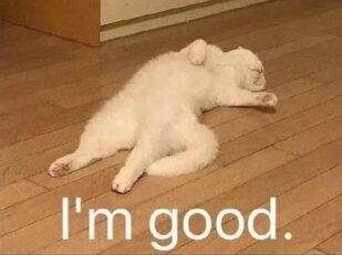 什么 吉他张又爆一首《买了否冷》? 呜呜呜我力竭了 他好抽象 #吉他张 #买了否冷 #音乐一响年味拉满 #吉他张买了否冷2026锐评 #抖音乐评新势力