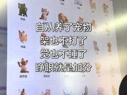 希沃桌面宠物#师生日常