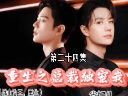 重生之总裁独宠我24:重生再次遇见你真好#战山为王