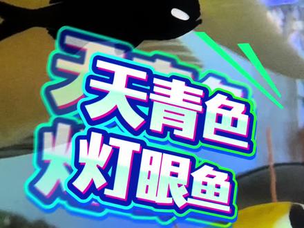 被称为毒液现实版原型的动物长什么样子! #诺亚方缸 #万物可爱计划 #宝贝年味企划