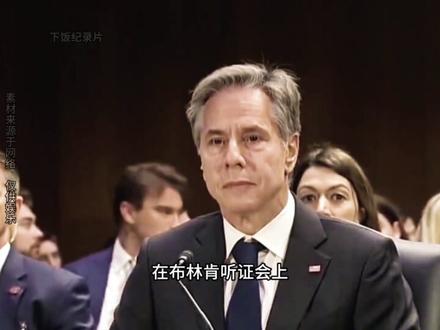无声的正义响彻云霄!#正义#和平#布林肯 #手语 #巴勒斯坦