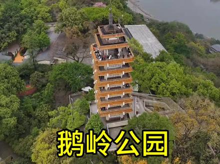 重庆市内的制高点#鹅岭公园
