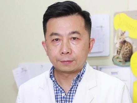 狗狗打喷嚏的原因!#狗狗 #宠物知识 #宠物科普 #涨知识 #科学养宠攻略 #狗狗打喷嚏 #萌宠#宠物