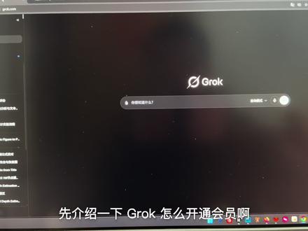 grok开通你会了吗