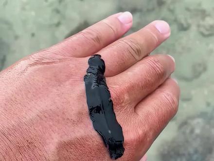 赶海遇到这些东西,能吃vs不能吃 一次分清#赶海 #科普 #保护动物