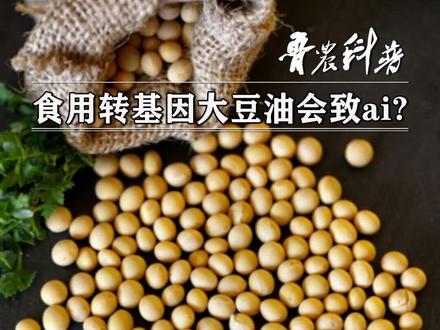 食用转基因大豆油真的会致ai 吗?#科普 #新农人计划2021