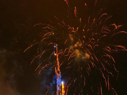 新年了,看看大家用手机拍的烟花 #烟花 #过年 #小米17ultra #徕卡 #小米