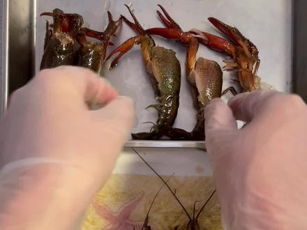 在家清理小龙虾的3种简单方法🦞#夏天要吃小龙虾