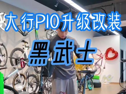 p10 p10改装版本,是不是你的菜#大行折叠自行车 #大行p10 #折叠车 #改装
