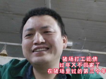 猪场打工还债,过年又不回家了,在猪场里过的第三个年了