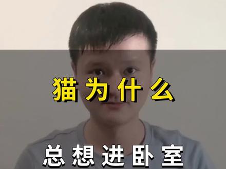 为什么猫咪总想进你的卧室,原因大致有这几点#猫咪 #新手养猫 #宠物猫 #养猫经验分享 #科学养宠攻略