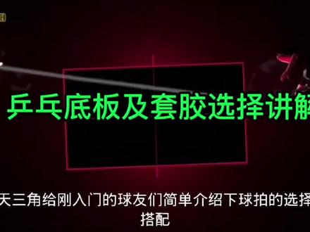 乒乓球之球拍与套胶的选择讲解#乒乓球 #套胶 #球拍 #套胶搭配 #球拍 #运动 #国乒 #乒乓球教学
