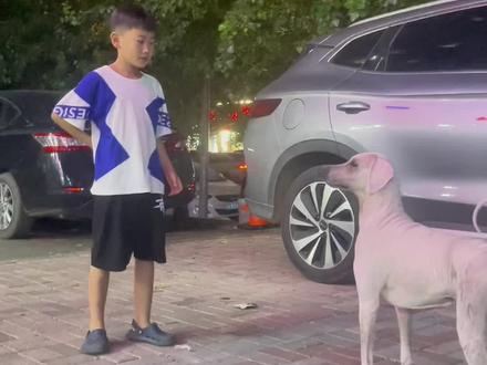 偶遇小狗#oi小鬼有点火热啊 #oi是什么梗 #迷惑行为 @唯皓