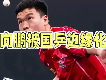 向鹏被边缘化他还有机会参赛吗 #国乒#乒乓球#向鹏