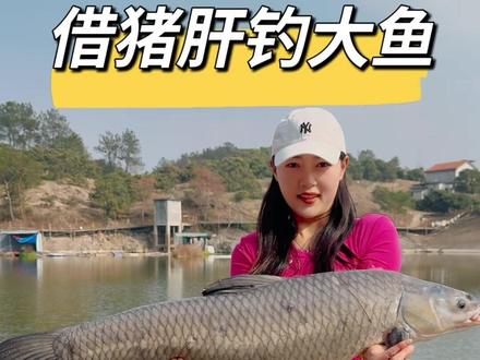 万万没想到 会咬人的鱼竟然是“它”#津帖