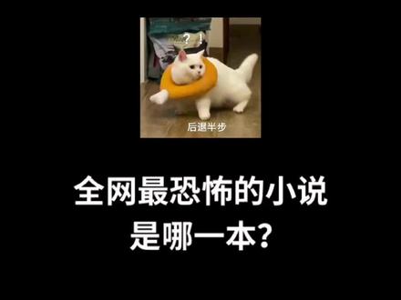 我的天,这本小说堪称恐怖小说天花板,评分好大9.6,最恐怖的是,这shi我写的,全文上千万字!