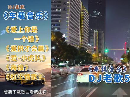2026老司机最爱听的5首车载DJ歌曲 #车载dj音乐 #DJ老歌 #经典歌曲百听不厌