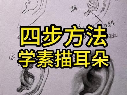 四个步骤轻松学会素描耳朵画法!零基础成人美术画画爱好者必看!太简单了!有想学免费入门课的吗?#素描 #素描头像 #素描动物 @蔡海晨素描(从入门到精微) @蔡海晨画室师训联盟 @蔡海晨手绘(彩铅干货王)
