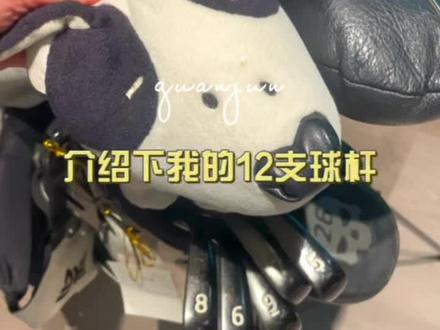 十大最难的球类运动前3名:
1.棒球2.高尔夫球3.网球。
因为高尔夫是可以打一辈子的运动,对体能要求不高,且只需自己就可以完成,所以我很喜欢。
高尔夫球只有乒乓球大小,你却要打出200米的距离,并且精确计算它的落点位置,需要你去熟练掌握不同球杆的方向距离,
球具品牌各有所好,但杆身硬度、重量最为重要。硬度的选择首要原则就是——选你可以控制的最软的球杆,以产生最大化的距离。重量方面理论上来说,越轻的杆身,可以让挥速越快,先看看我的12支杆是怎么配置的吧。#高尔夫挥杆 #高尔夫教学 #高尔夫美女 #高尔夫女士球杆