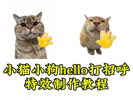 hello打招呼教程,打招呼模板,小狗小猫hello模板, #hello挥手动作的动画 #小猫hello怎么做 #hello小猫动态图 hello小猫表情包制作教程 hello小狗打招呼 修勾 猫咪 hello猫模板下载 hello猫模板怎么用 hello猫表情包 hello猫动态壁纸 #剪映 hello猫背景图 hello猫手机壁纸 hello猫图片大全 hello猫使用教程 #哈基米挥手视频 hello哈基米