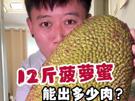 12斤菠萝蜜能出多少肉#美食分享 #菠萝蜜