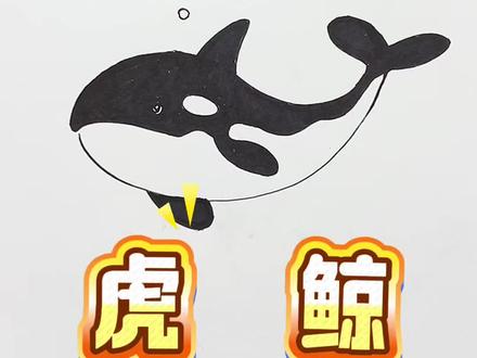 亲子简笔画海洋街溜子虎鲸,小朋友们一起画吧。#鱼简笔画 #手绘鱼 #简笔画教程#育儿简笔画#真实生活分享计划