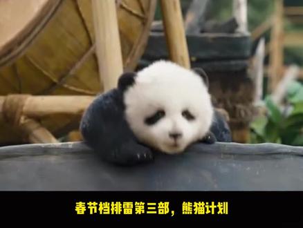 成龙和乔杉居然卖腐了!熊猫计划5岁以上儿童不推荐观看 #影娱年味不打烊 #影评人陪你过春节 #熊猫计划 #成龙 #乔杉