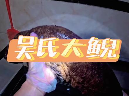 第一视角带你们感受养娃娃鱼的一天#吴氏大鲵主题餐厅#餐饮人#娃娃鱼养殖#娃娃鱼#创业