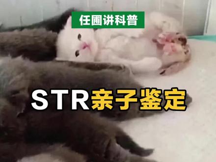 【任圃讲科普】亲子鉴定是什么原理? #科普 #公开课 #学习