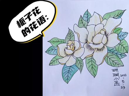栀子花花语,栀子花开 如此可爱#认识植物画简笔画增长知识 #简笔画 #零基础学画画 #画画 #想画就画 #艺术 #原创