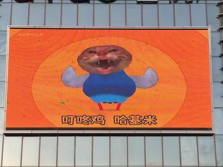 抽象的我又回来了#抽象 #擦皮鞋 #哈基米