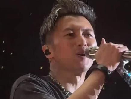 谢霆锋深圳演唱会。