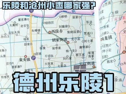 #乐陵 乐陵和沧州的小枣哪家强?#乐陵美食 #乐陵小枣 #沧州 #沧州小枣