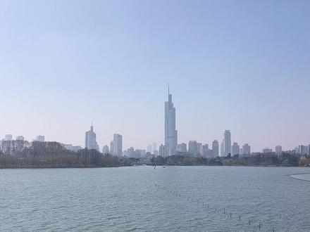 玄武湖春日赏花攻略,这个春日的周末,抓紧走出家门,感受春天的气息吧!#南京去哪玩 #南京旅游攻略 #玄武湖 #春日赏花