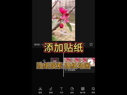 剪映如何添加贴纸怎样查找贴纸动画效果 #剪辑教程 #剪映入门